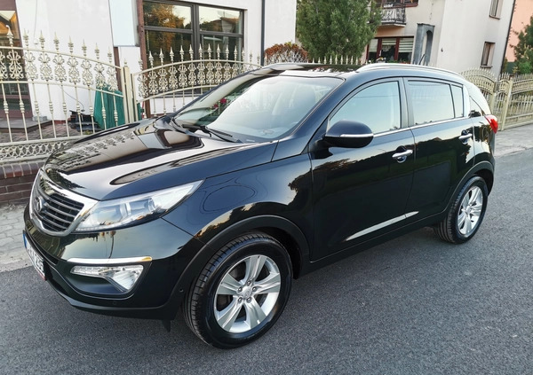 Kia Sportage cena 50900 przebieg: 169000, rok produkcji 2013 z Częstochowa małe 466